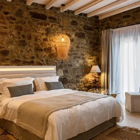Serenity Haven 别墅 Mykonos Town